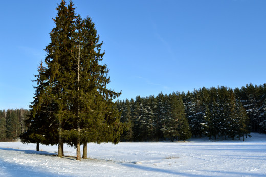606806 (a): :4491x2994